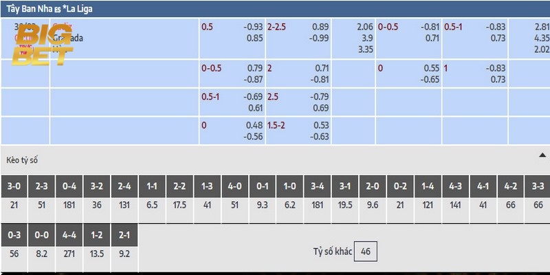 Cá Cược Bóng Chuyền Bigbet88